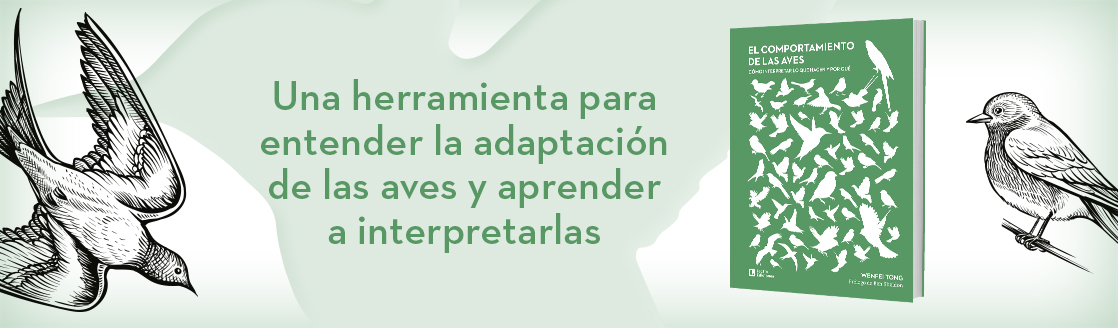 el comportament dels ocells 